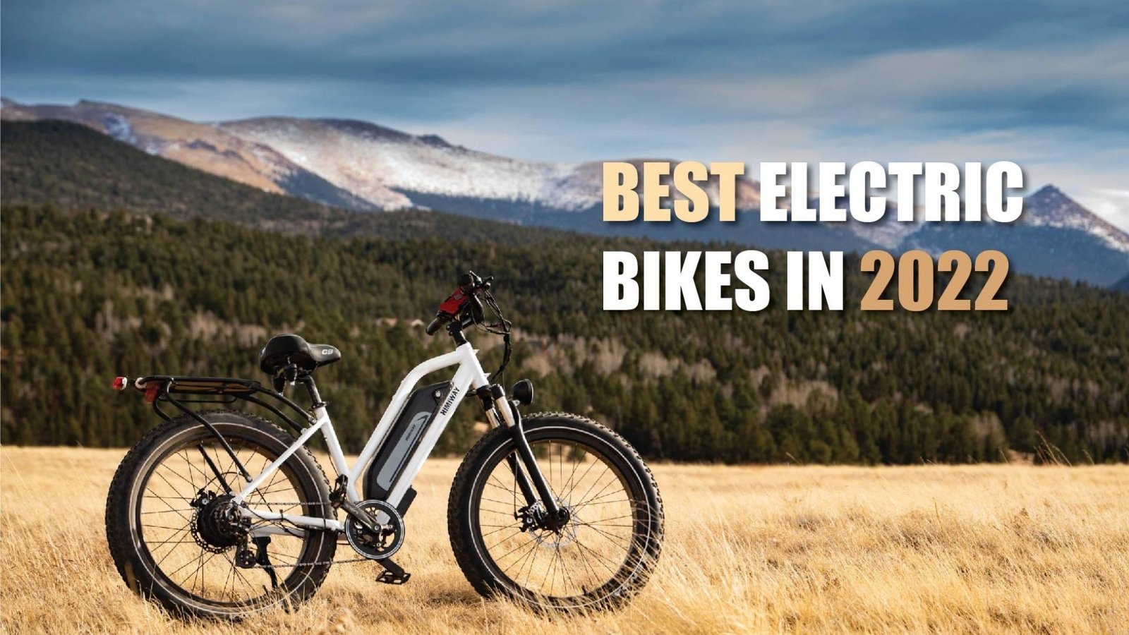 Best Electric 2023: Top 10 Bikes We Recommend