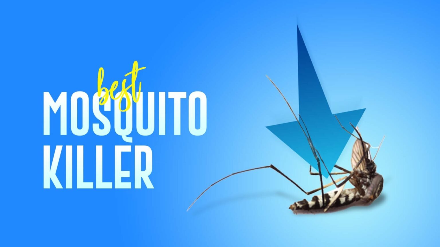 15 Best Mosquito Killers 2024 According To Experts 1422