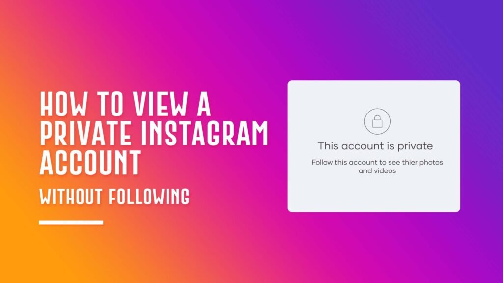 How to View Private Instagram Profiles Without Following In 2024